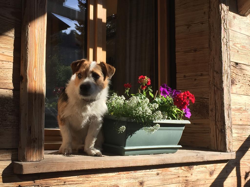 Hotel Les Cimes Megève Εξωτερικό φωτογραφία